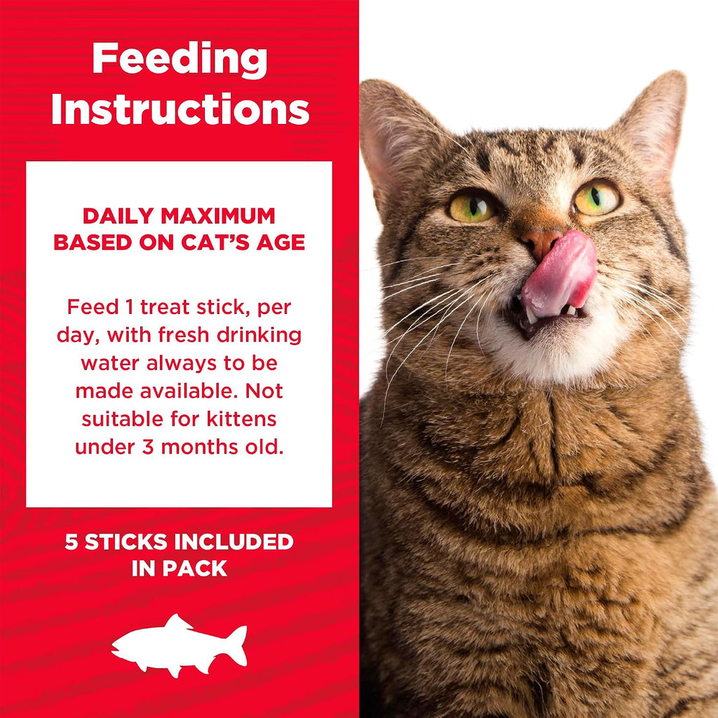 Domestic cat enjoying a tender meaty stick treat