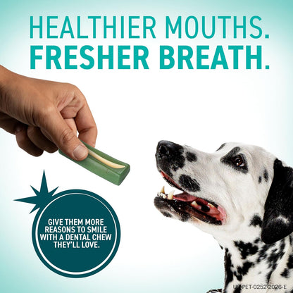 OraVet thirty day supply dog bad breath remedy chews packaging