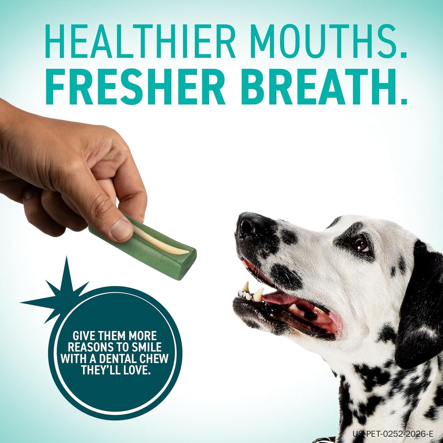 Delmopinol technology dog dental chews for fresher breath