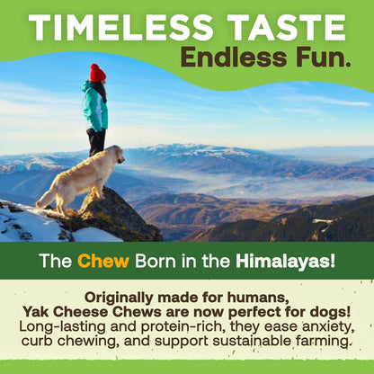 EcoKind dog chew end piece puffed up in the microwave into a crunchy safe treat option