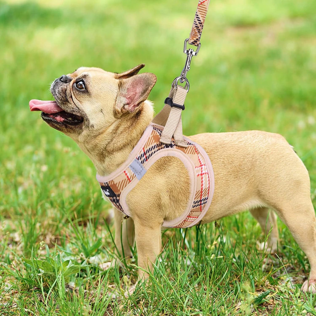 PUPTECK Dog Harness and Leash Set for Small Medium Dogs No Pull Step-in Soft Mesh Puppy Cat Vest Harnesses Reflective at Night, Green S - Image 12