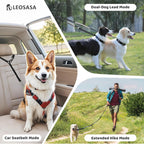 LEOSASA heavy duty nylon leash showing reflective safety threads