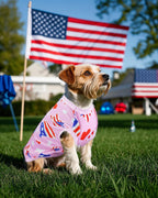 Size chart visual for Pet Show dog clothes