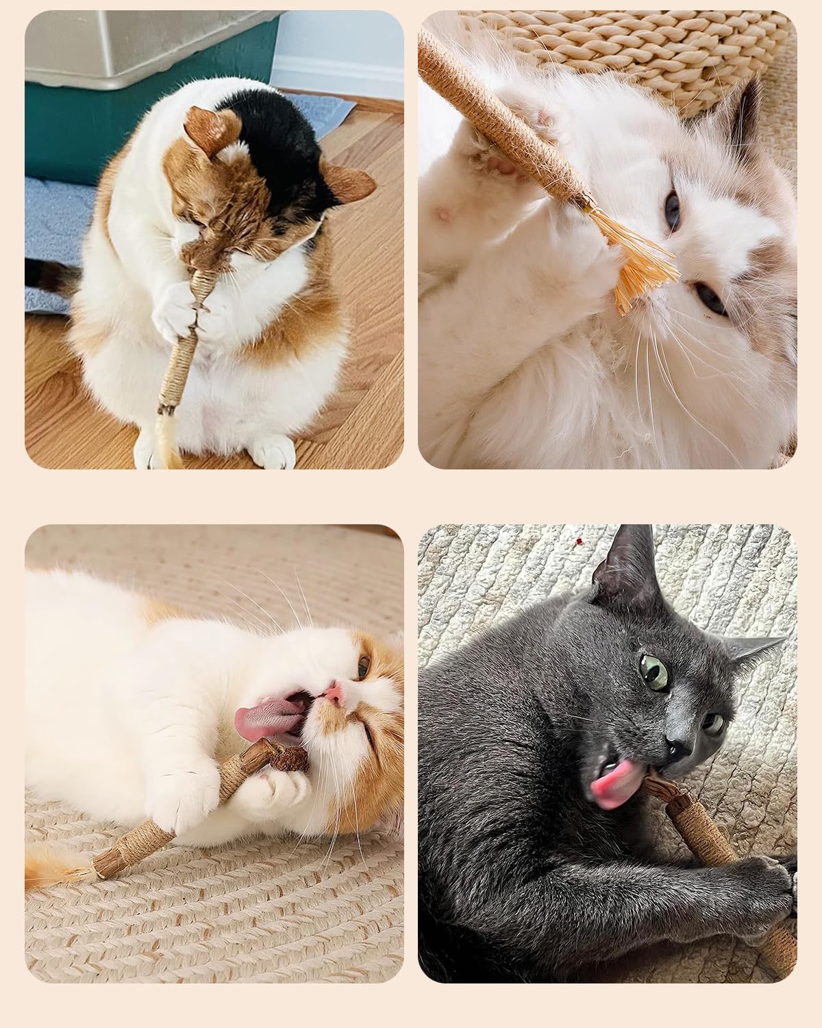 Tocirelo cat enrichment dental toys set