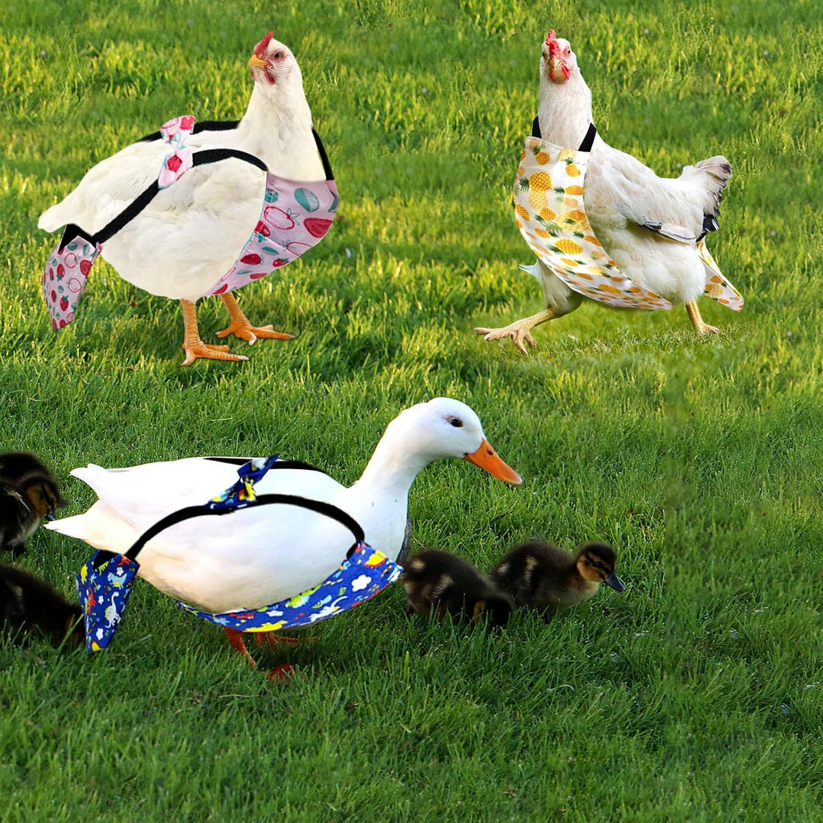 Adjustable poultry clothes for hens and geese