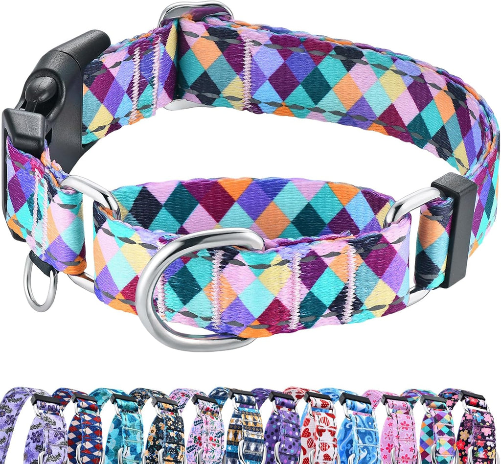 Fidohug reflective martingale dog collar front view colorful geometric design