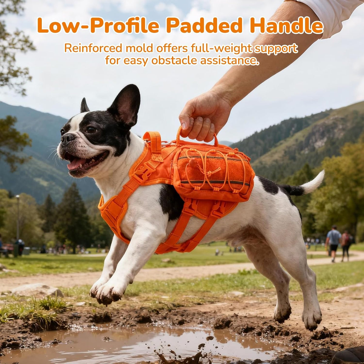 Close up look at the reinforced top grab handle and metal D-ring leash attachment on the AOKOWN harness.