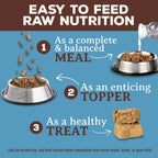Adult cat enjoying Primal freeze dried raw meal