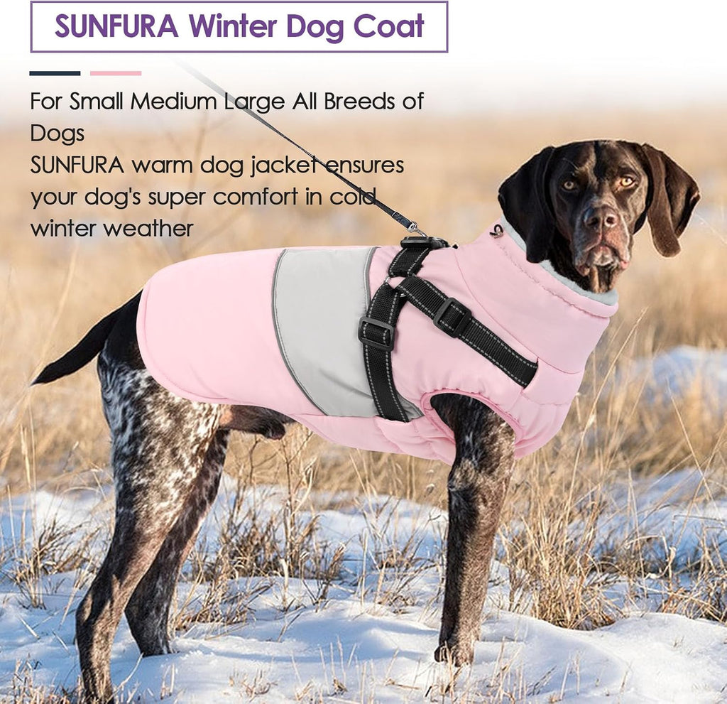 SUNFURA medium breed jacket side view fitted on a Pug illustrating chest coverage and abdominal opening.