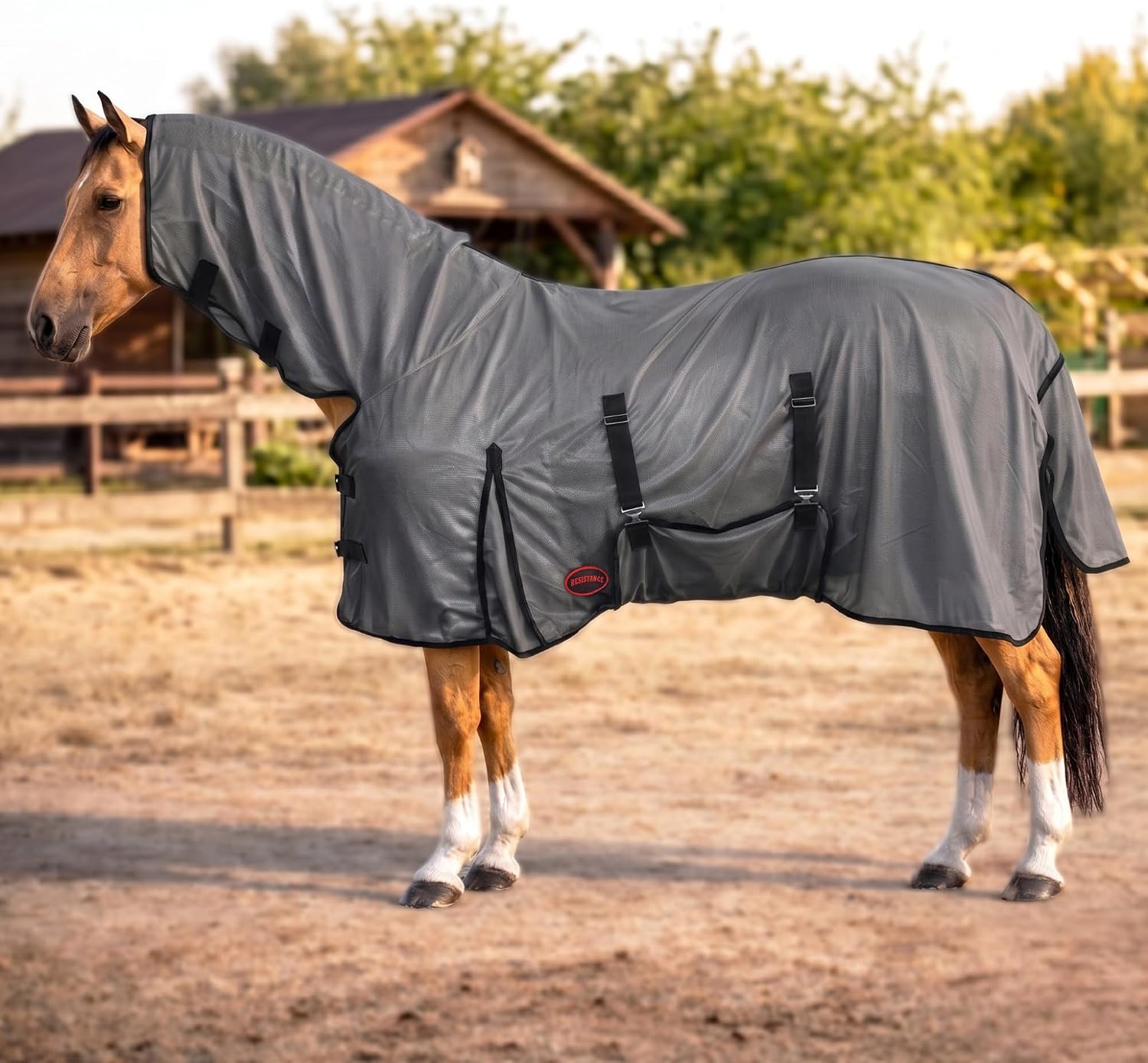 Chest buckles and throat latch closures on turquoise trimmed fly blanket
