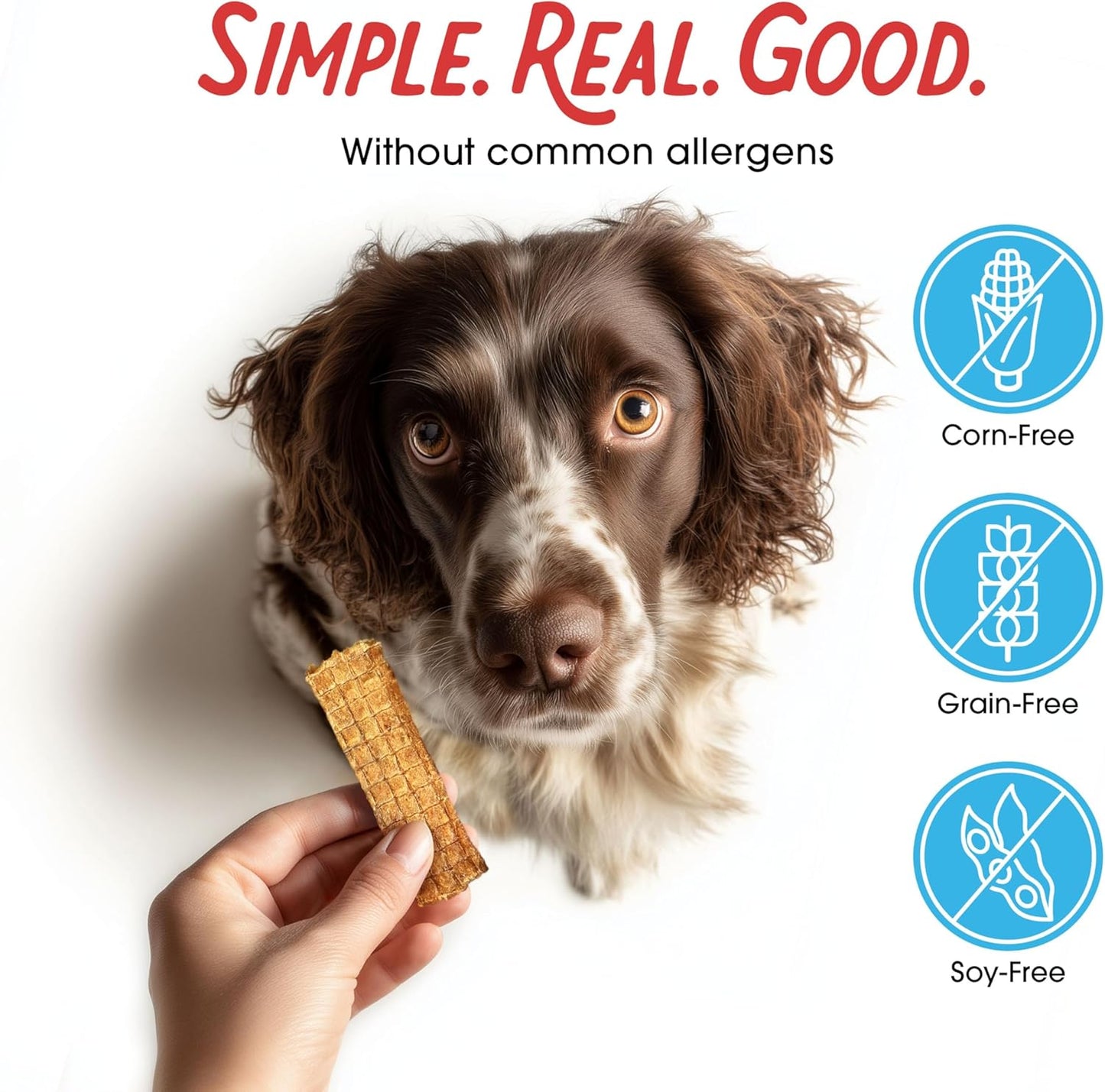 Dog eating Farmland Traditions chicken jerky treat