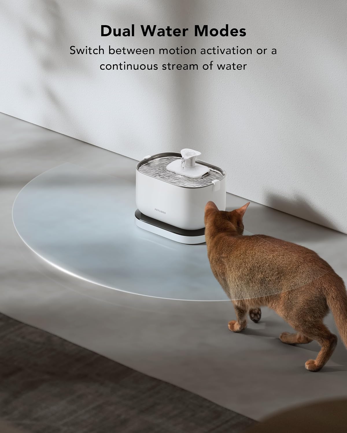 Cat drinking from the Petlibro cordless water fountain at home