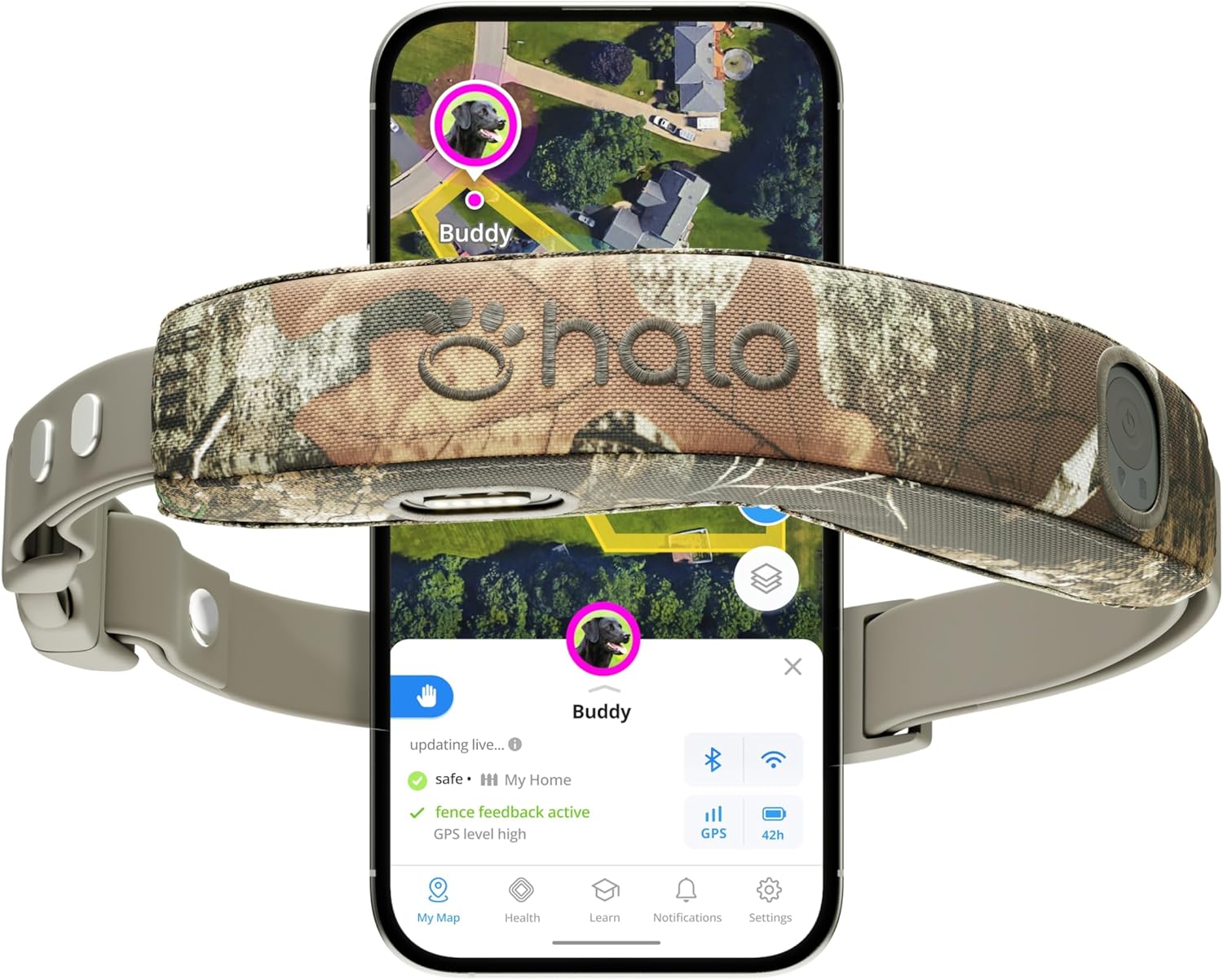 Dog wearing the orchid Halo fence collar outdoors in a safe perimeter.