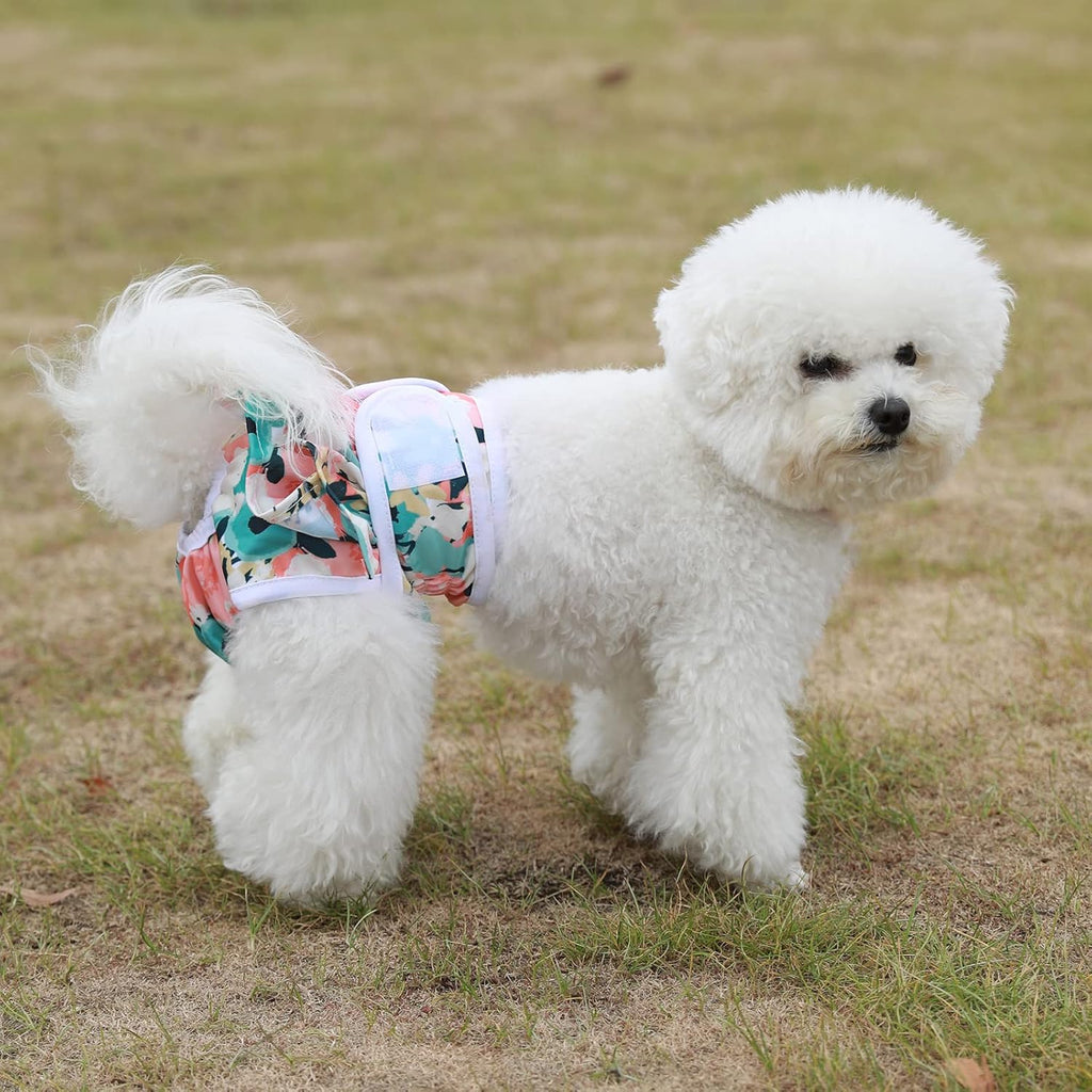 Back view of the pet diaper demonstrating the flexible elastic waistband and snug fit