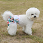 Back view of the pet diaper demonstrating the flexible elastic waistband and snug fit