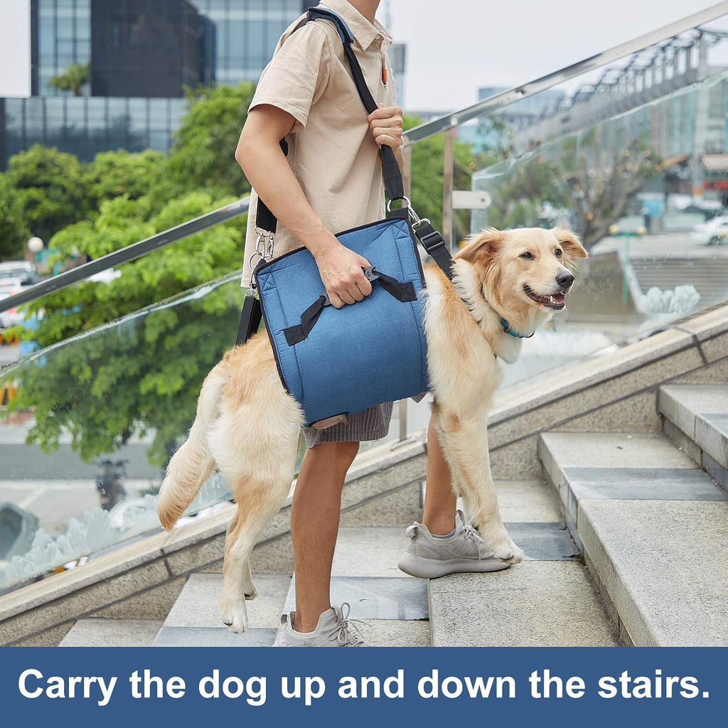 Adjustable padded straps on pet rehabilitation lift vest