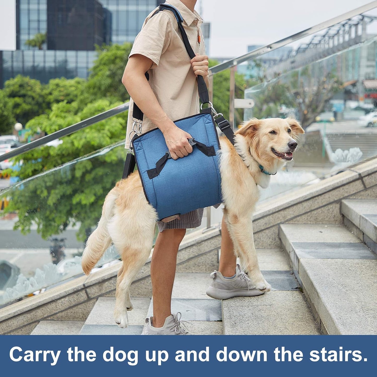 Adjustable padded straps on pet rehabilitation lift vest