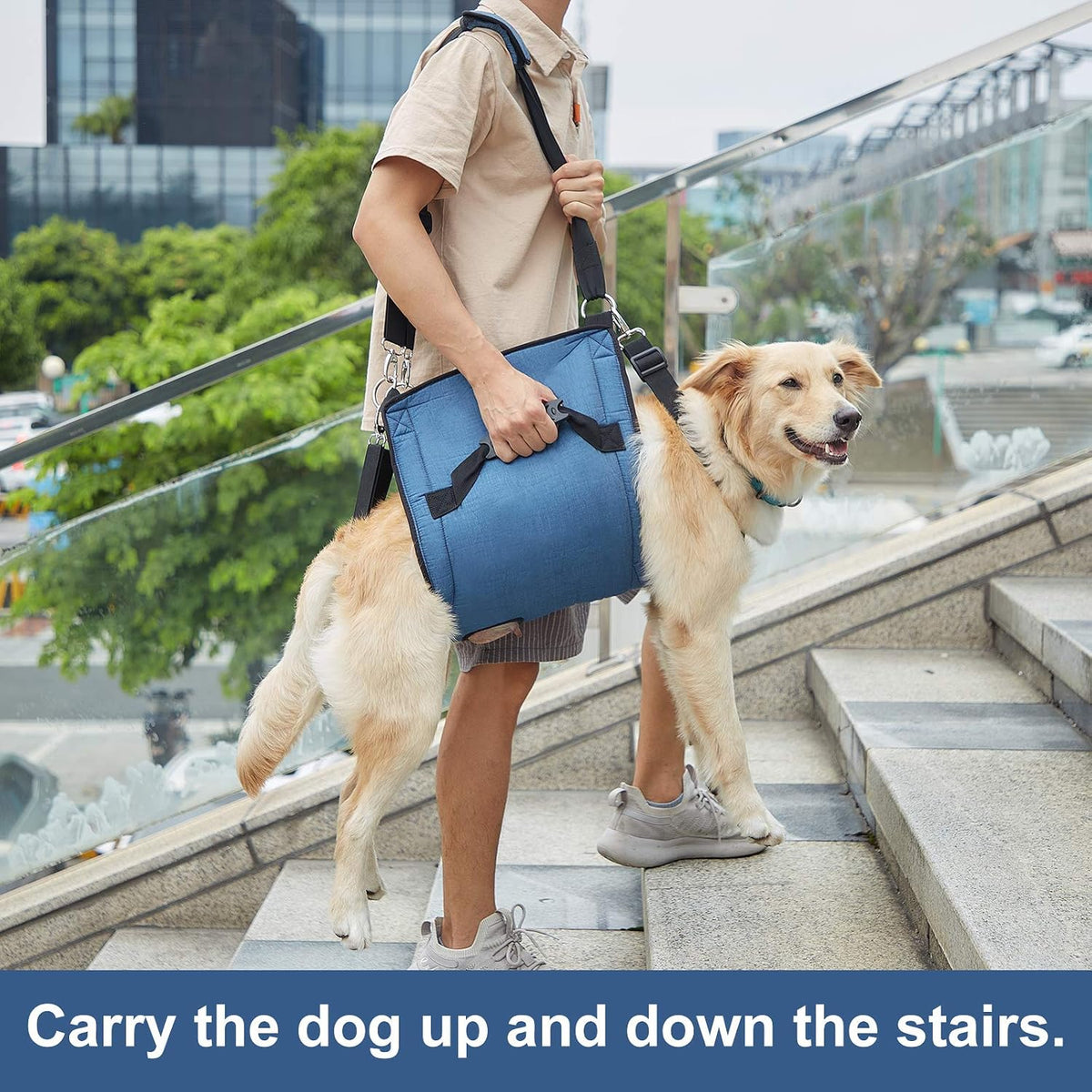 Adjustable padded straps on pet rehabilitation lift vest