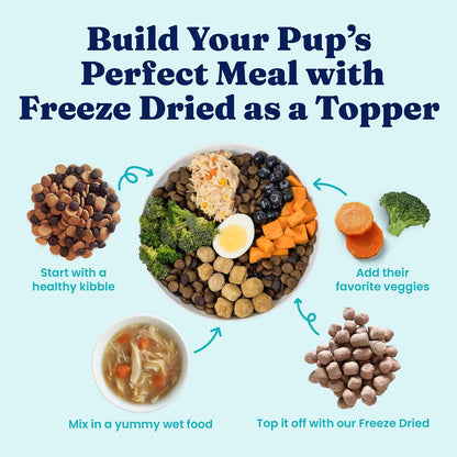 Solid Gold freeze dried raw dog food topper product lifestyle shot