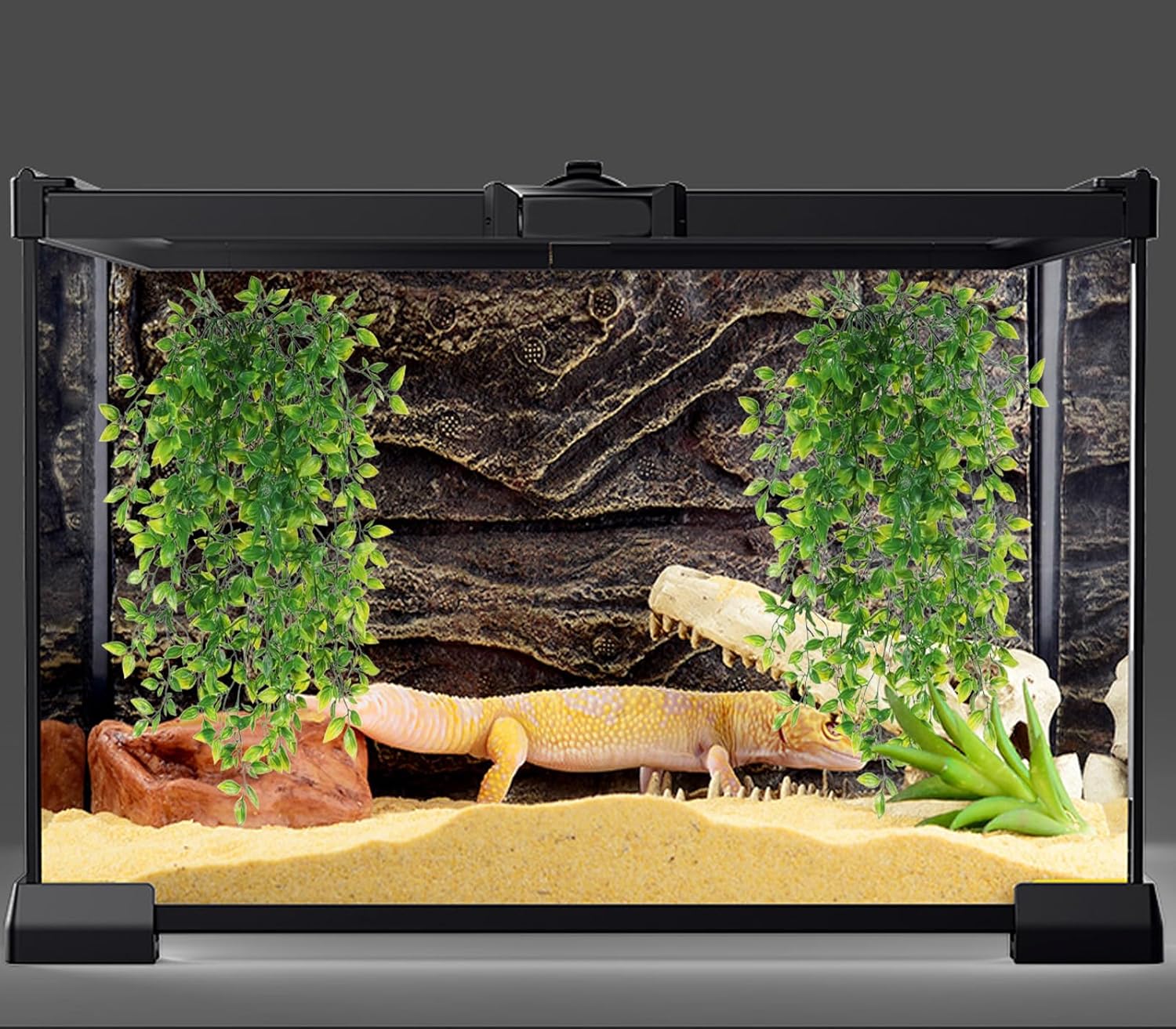 Two pack reptile vines showing full 33 inch length