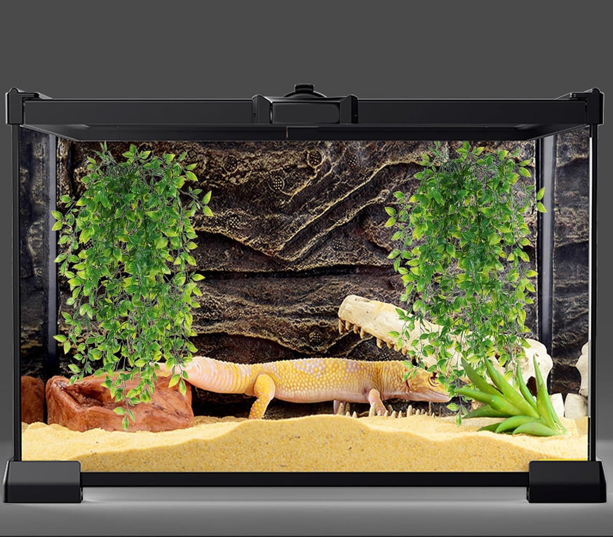 Two pack reptile vines showing full 33 inch length