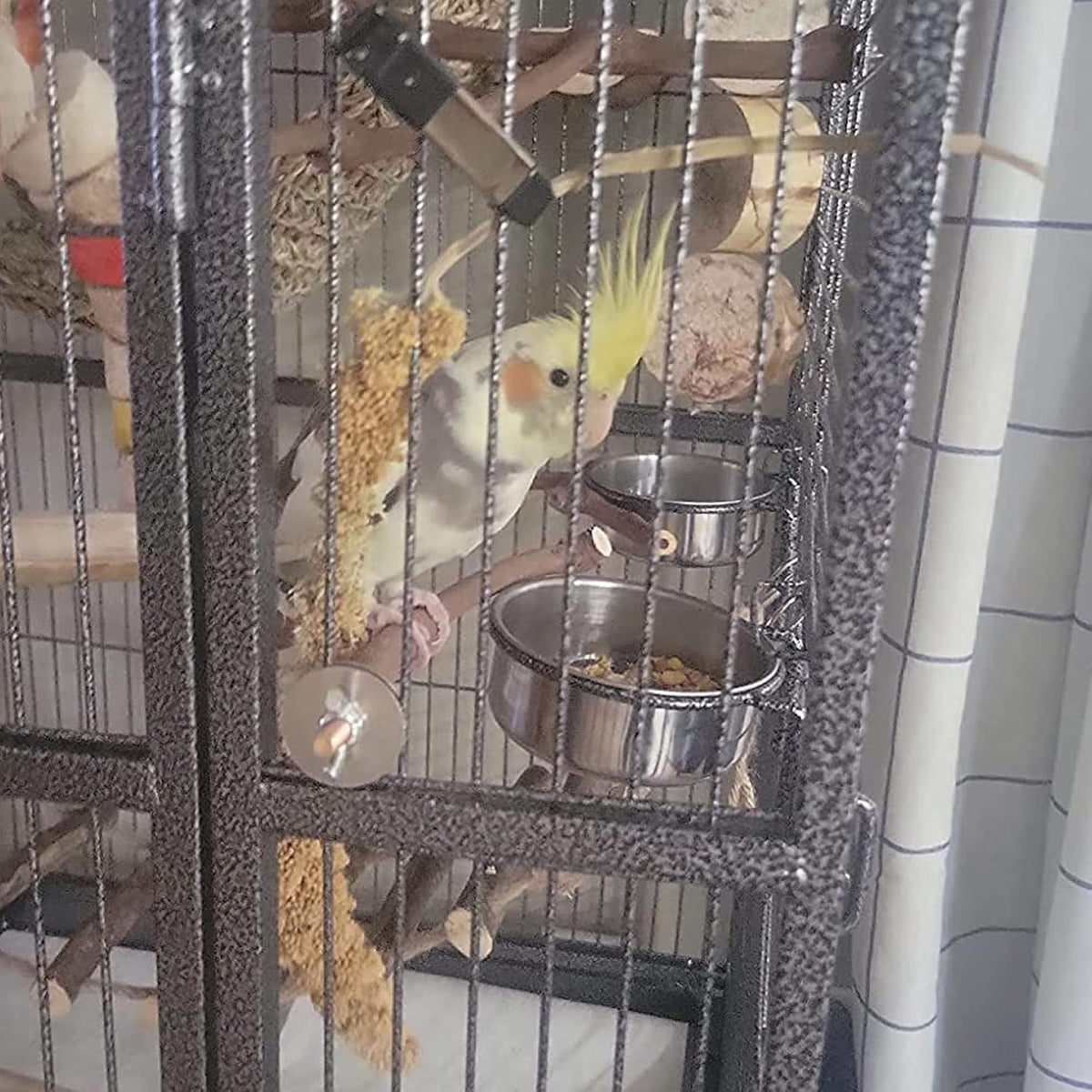 Close-up of secure clamp mechanism on bird feeding dish