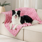 Luciphia Small Dog Blanket Washable Pet Bed Cover Soft Fluffy Puppy Blanket with Premium Fleece 300GSM Cozy Calming Cat Blankets for Indoor Cats Pink 30x20 inch - Image 9