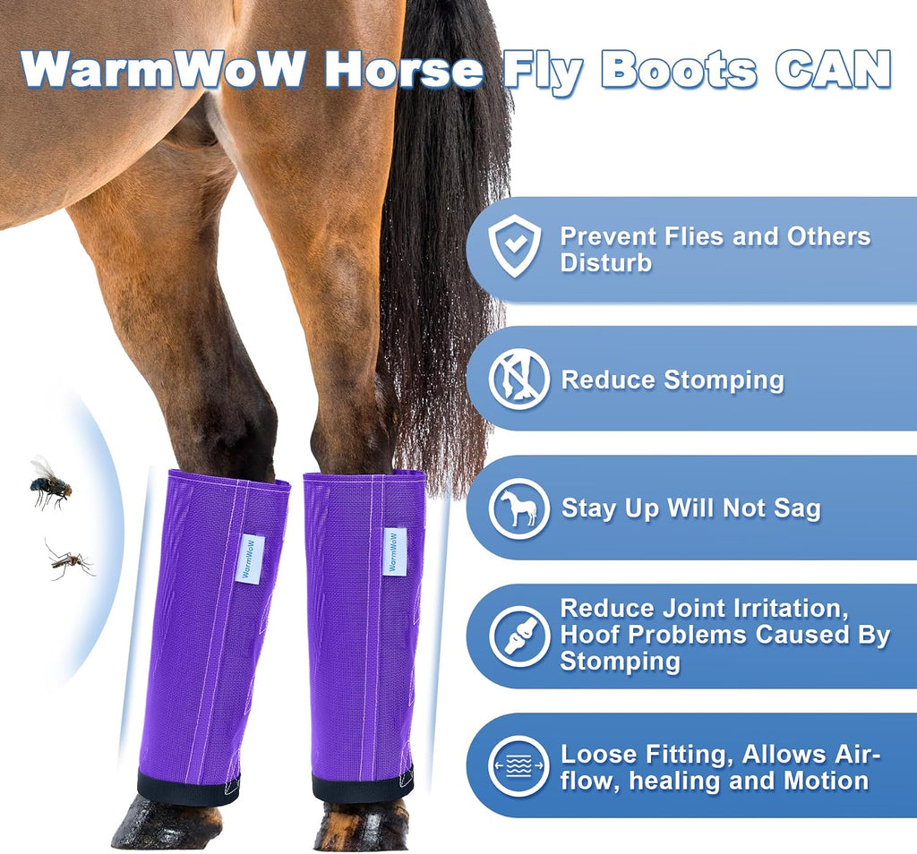 WARMWOW breathable mesh horse leggings purple color product shot.
