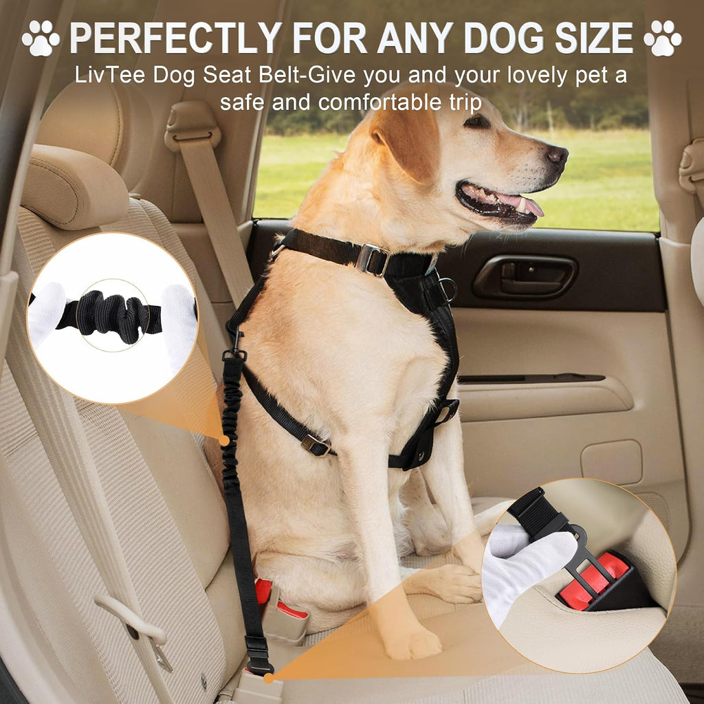 Two pack adjustable dog car seatbelt leash black
