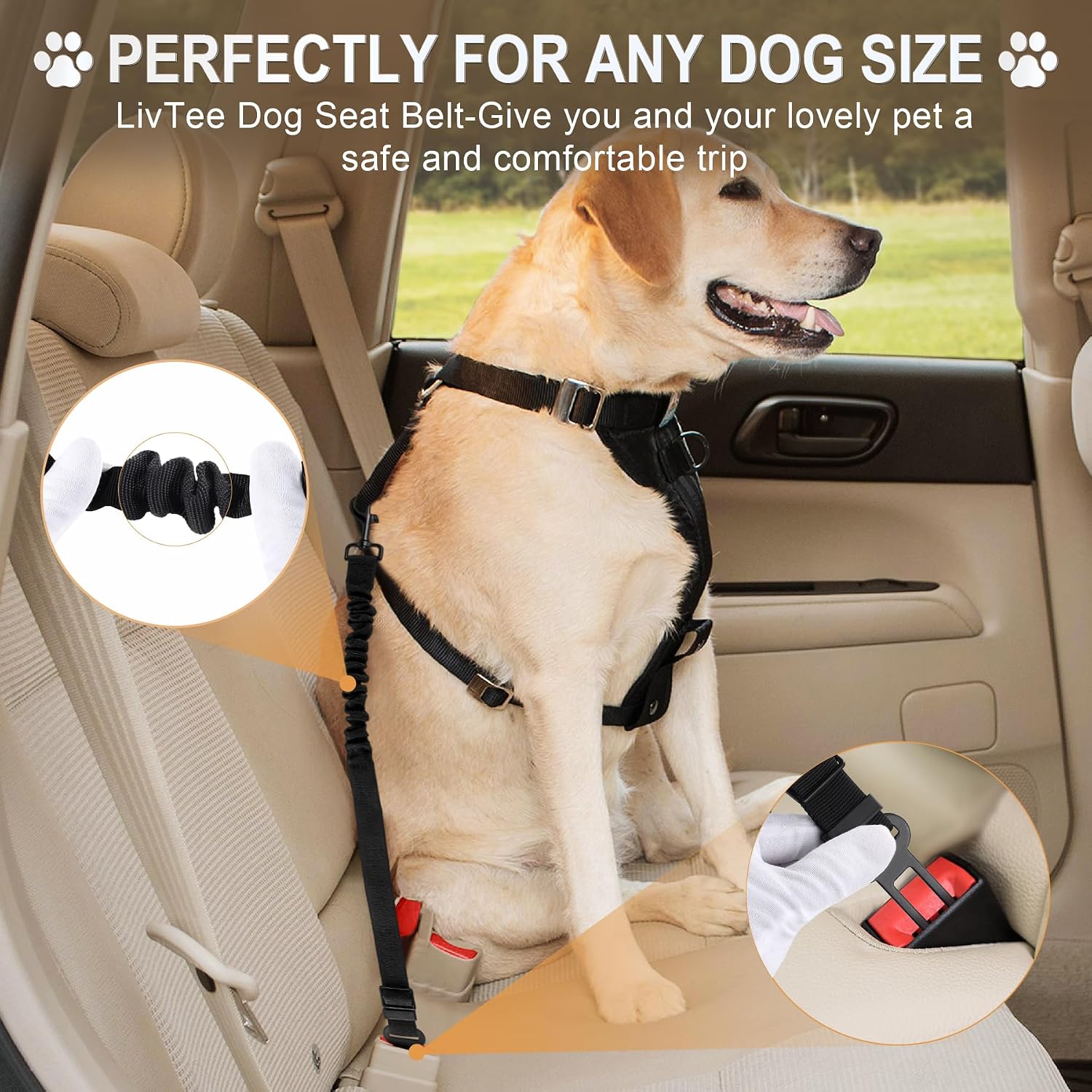 Two pack adjustable dog car seatbelt leash black