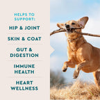 VetIQ dog supplement soft chews texture close up