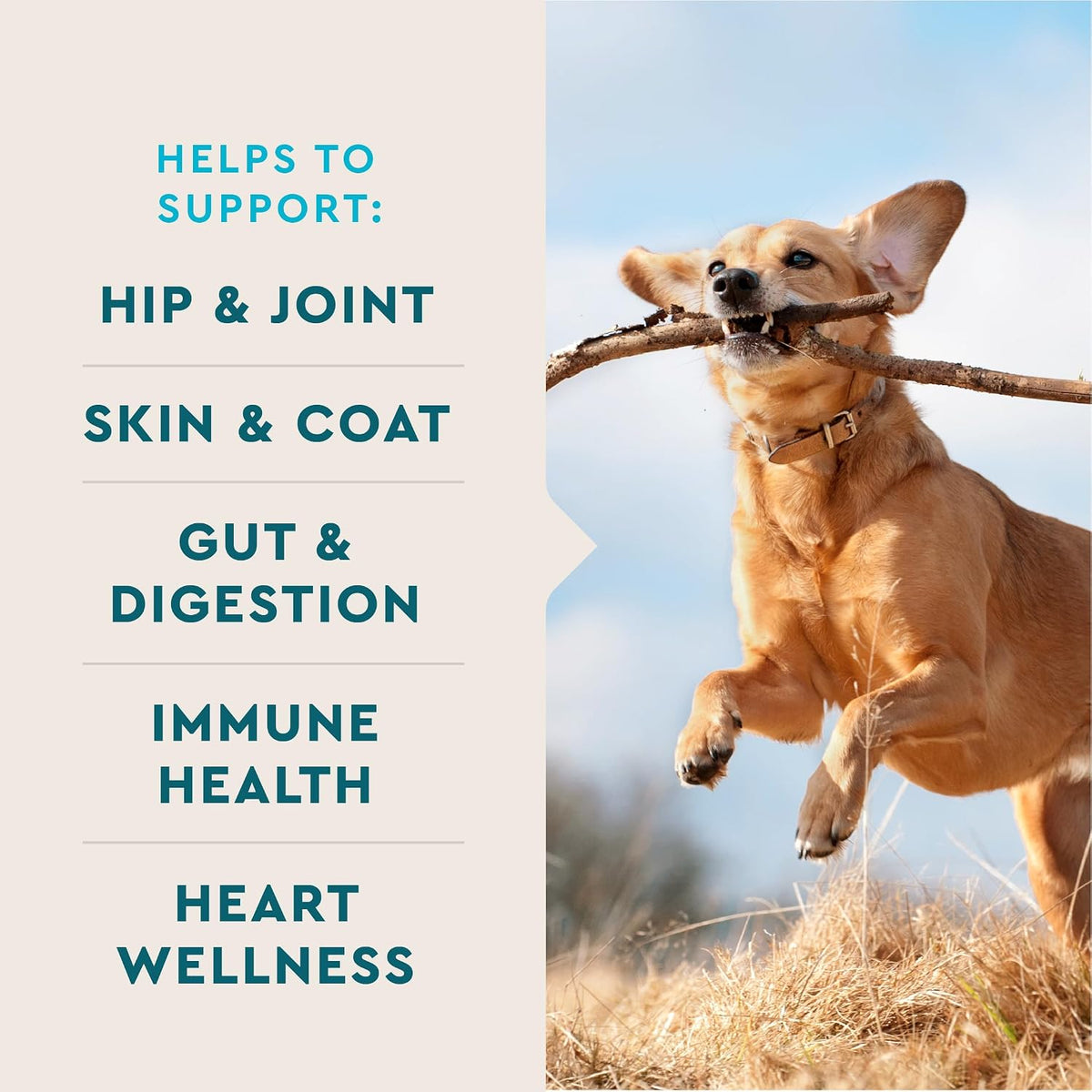 VetIQ dog supplement soft chews texture close up