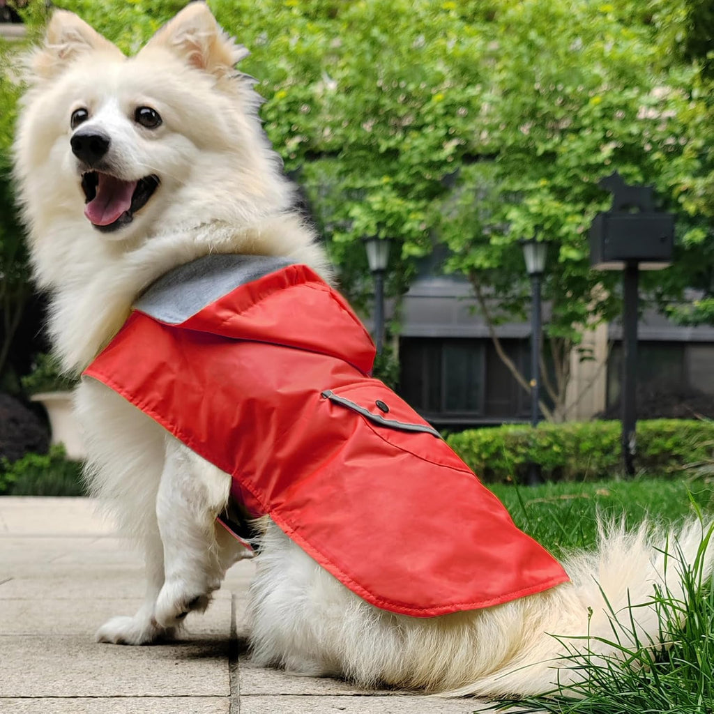 Side view of a small puppy wearing the red Becnbeau hooded rain jacket