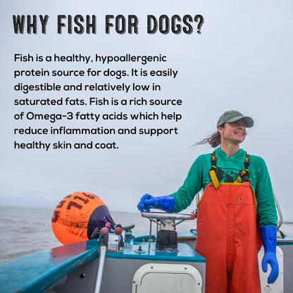 Polkadog Cod Skins for Dogs (2lb Regular) - Single Ingredient, Wild-Caught Fish Skin Natural Dog Treat Chews. High in Lean Protein & Omega 3. Hypoallergenic, Grain Free. Handcrafted & Made in USA - Image 9