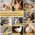 Sukh botanical herb medley for hamsters and chinchillas back label details.