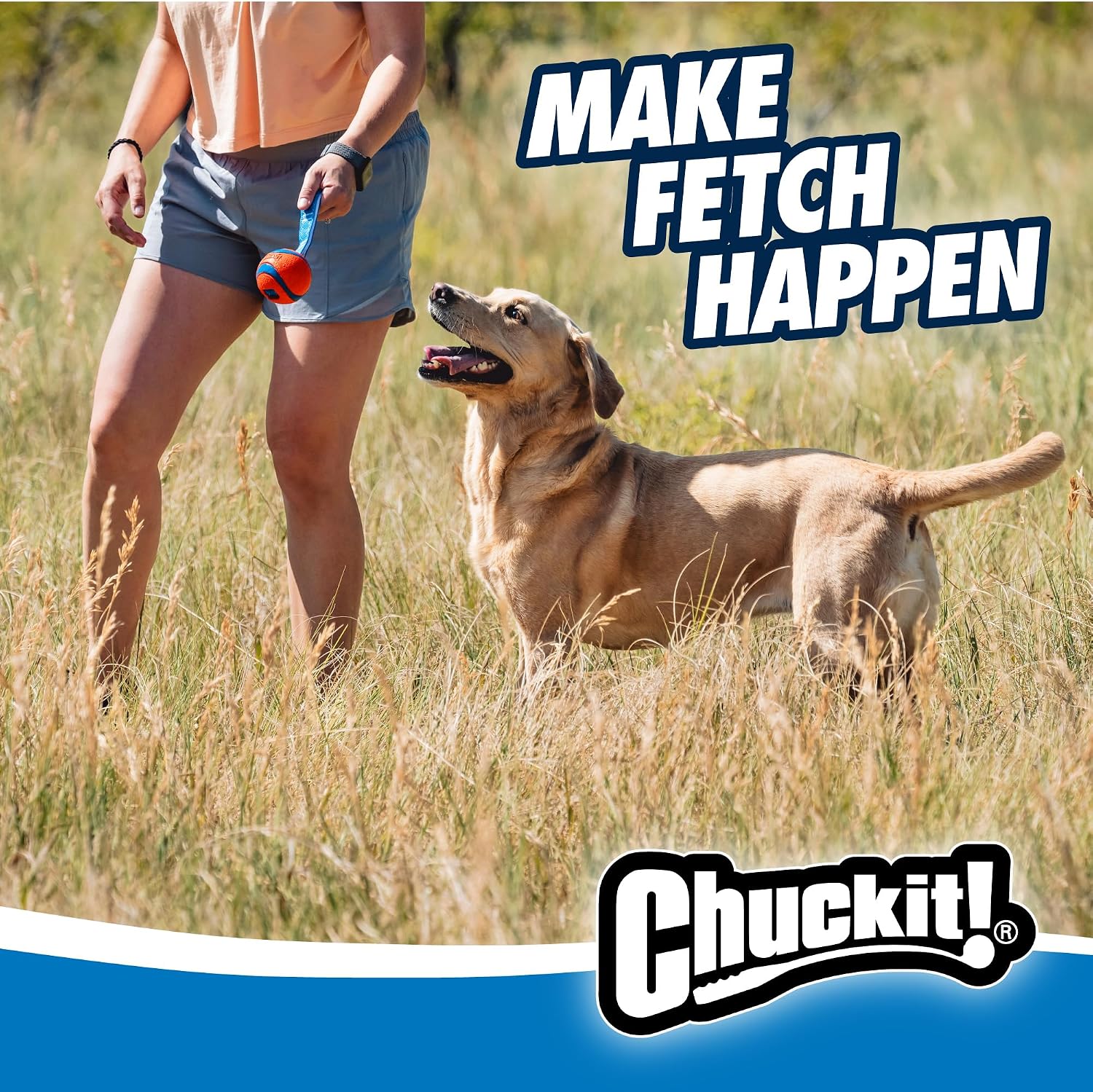 Chuckit Ultra Tug rubber ball with nylon strap