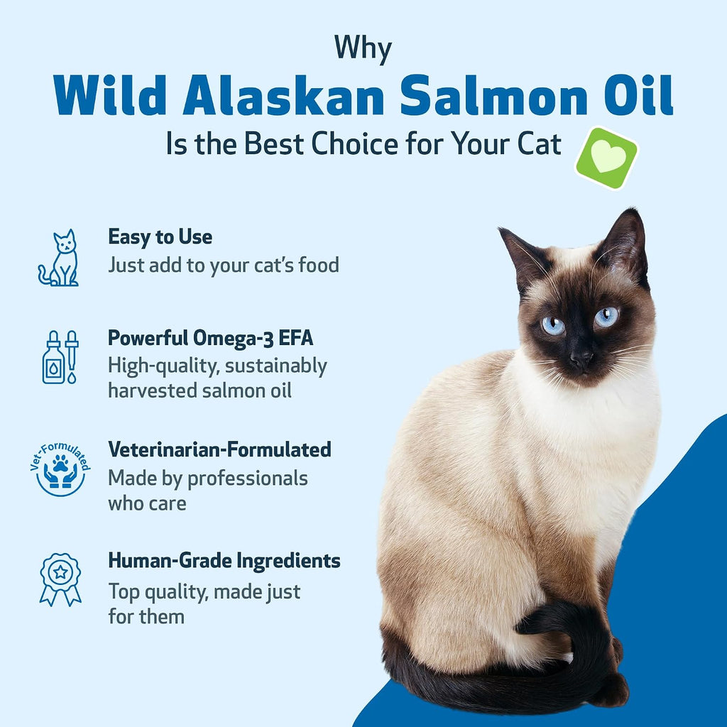 Rich EPA and DHA salmon oil drizzled on feline food