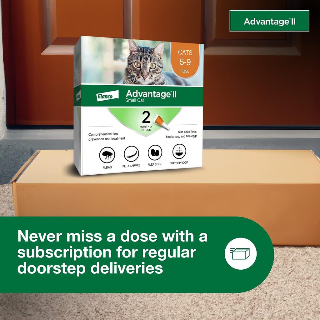 Bayer pest control solution breaking the flea lifecycle on contact