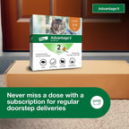 Bayer pest control solution breaking the flea lifecycle on contact