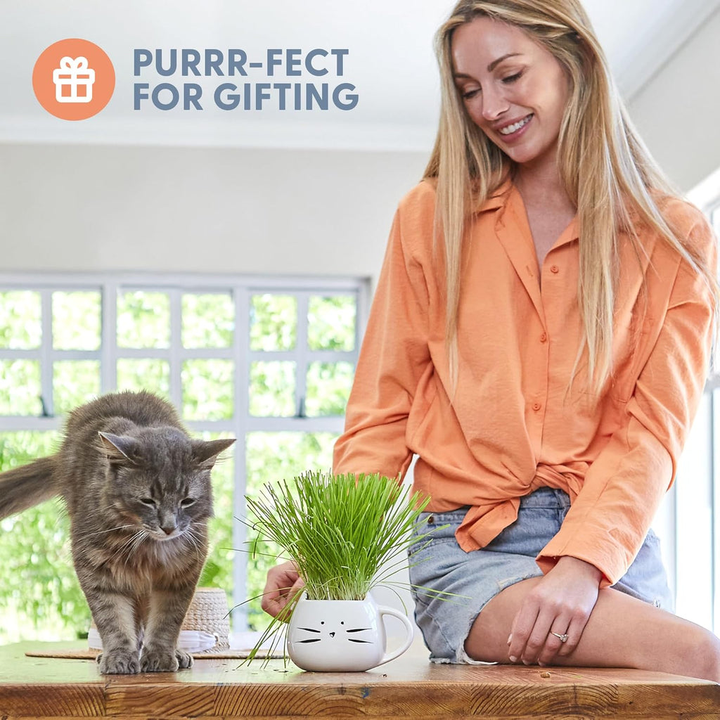 Organic soil disk and seed mix contents included inside the indoor cat grass starter pack.