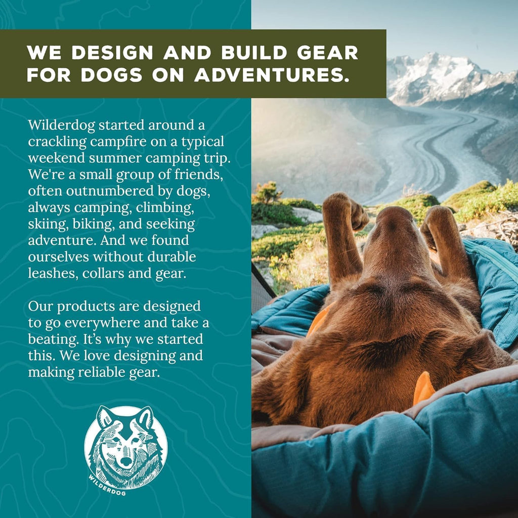 Easy to clean dirt repelling premium pet leash for Indian dog owners