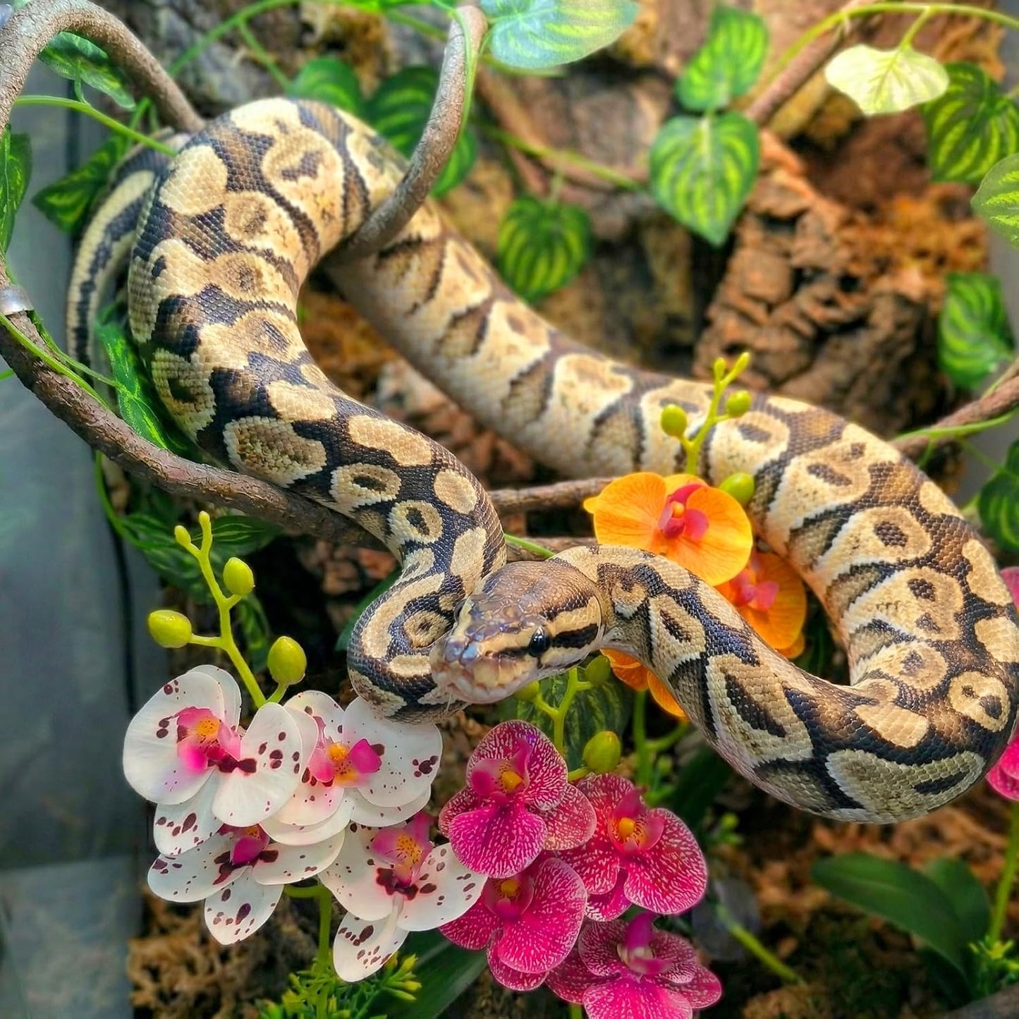 Reptile tank setup with silk plants and climbing vine