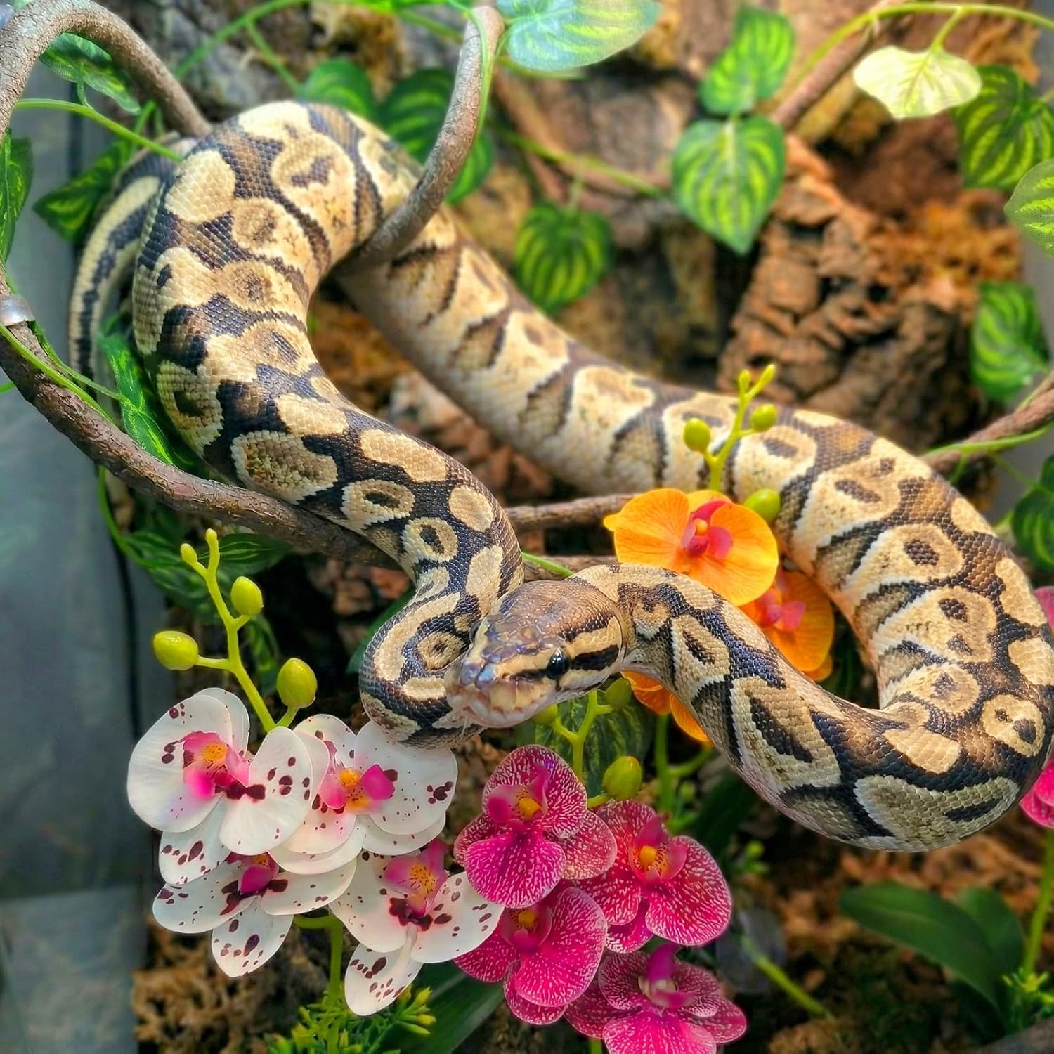 Reptile tank setup with silk plants and climbing vine