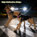 Packaging view of the authentic USA imported Mycicy double dog leash coupler.