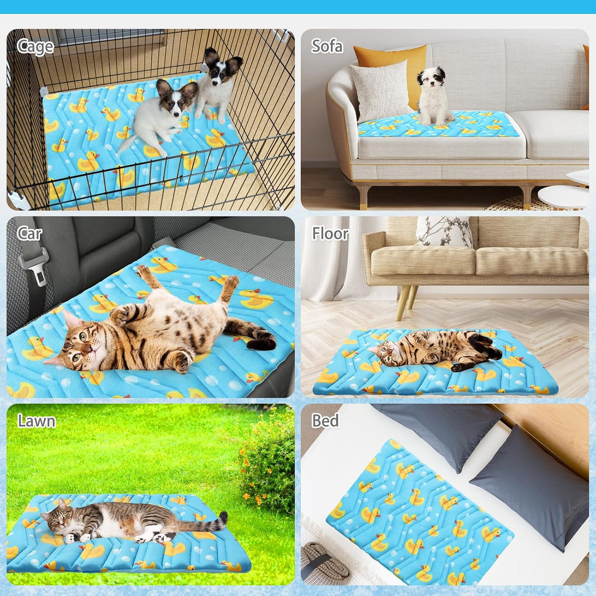KOOLTAIL blue duck pattern small pet cooling bed package look