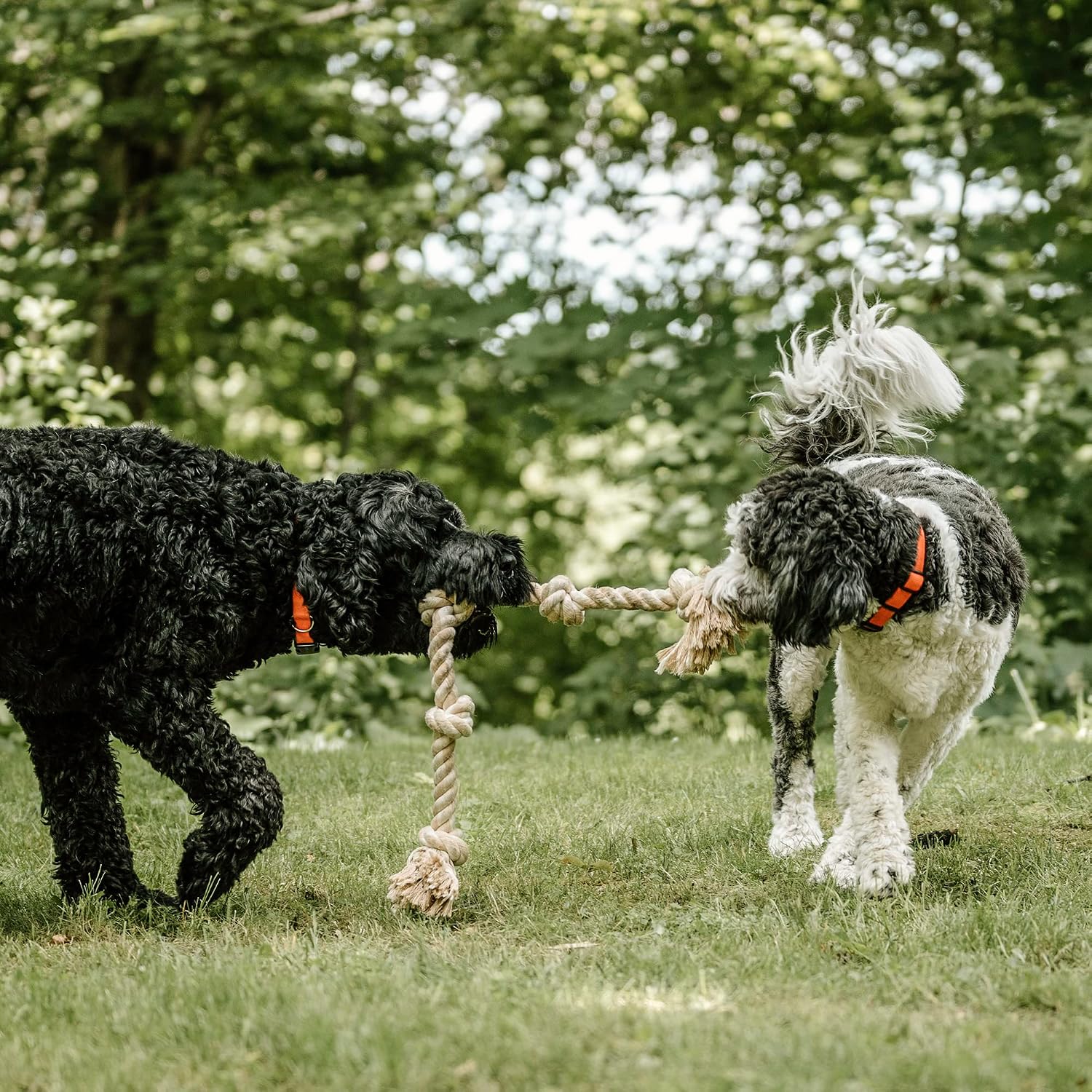 PetiFine dog rope toy packaging showing authentic imported product specifications