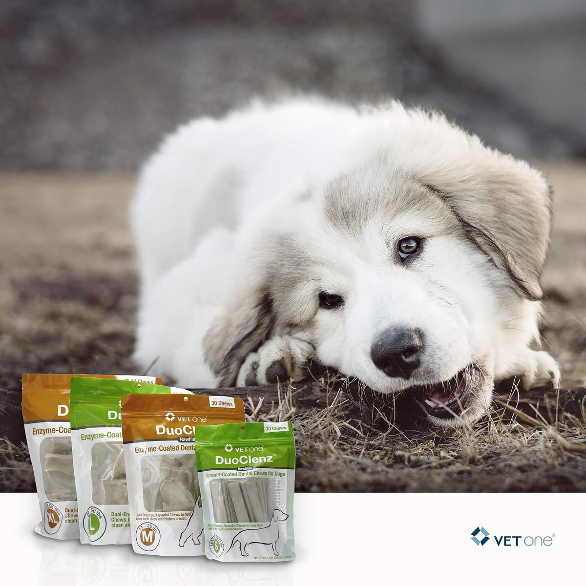 Authentic USA imported Vet One pet oral care packaging back details