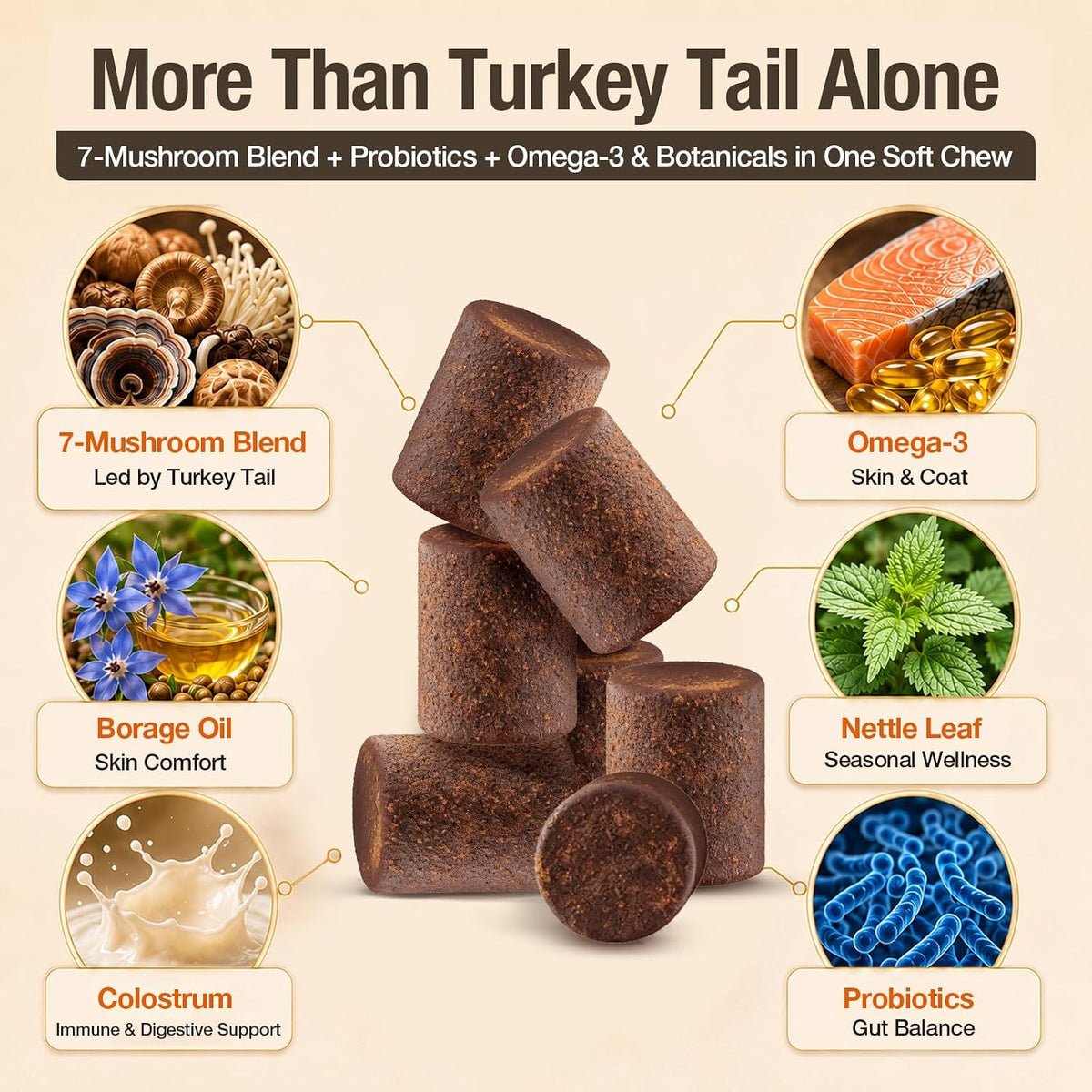 TailSphere soft chews for dogs displaying omega-3 and borage oil ingredient benefits
