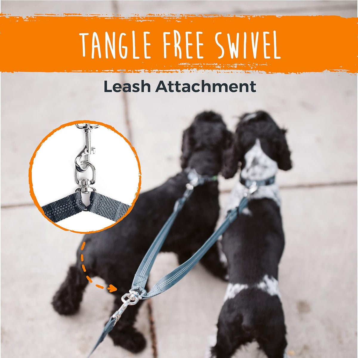 Double dog leash adapter demonstrating three hundred sixty degree rotational swivel ring.