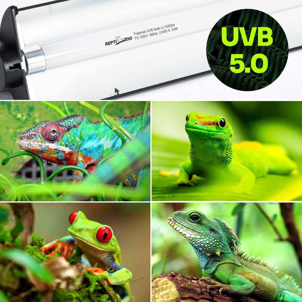 REPTI ZOO 24W T5 HO lighting combo kit hood angle